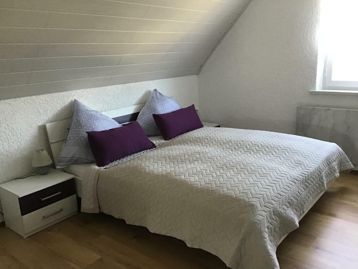Ferienwohnung Elina Maxhutte-Haidhof Екстер'єр фото